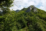 63 Sentiero selvaggio nel bosco